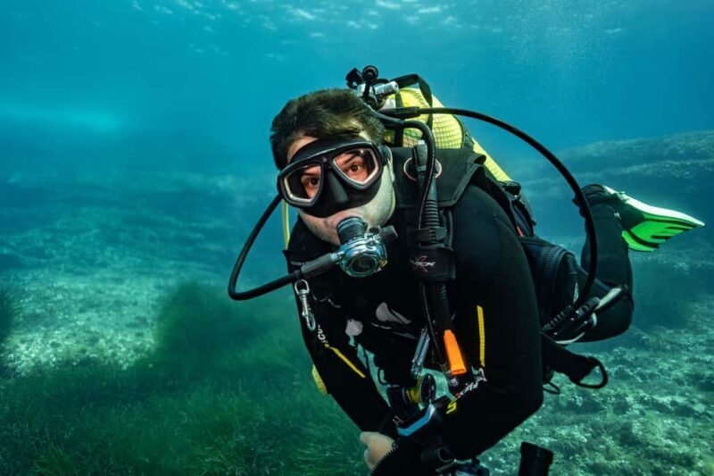 Try Scuba Diving in Cala d'Or  No Experience Needed - The Marine Environment and What You’ll See