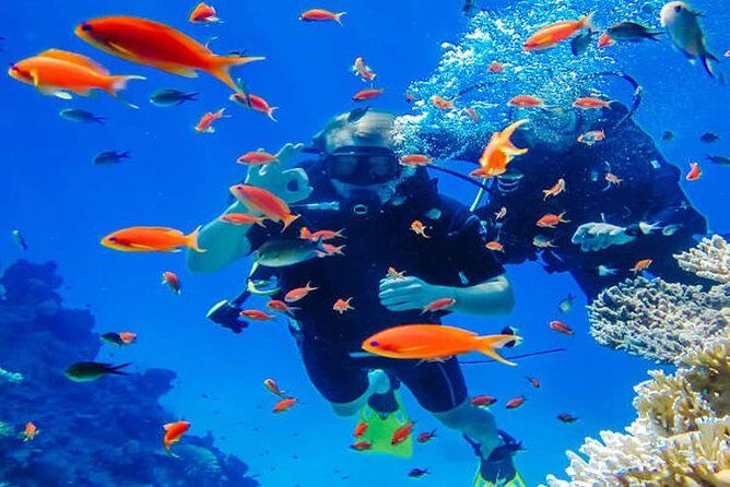 Try Scuba Diving In Havlock - Why You’ll Love This Experience
