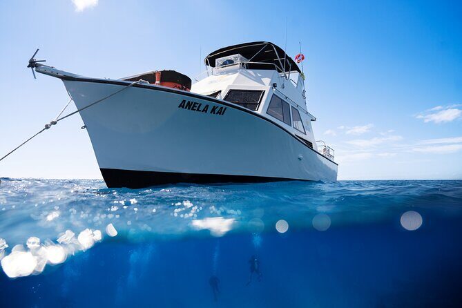 Try Scuba Diving in Kauai From a Boat for Non-Certified Divers - Key Points