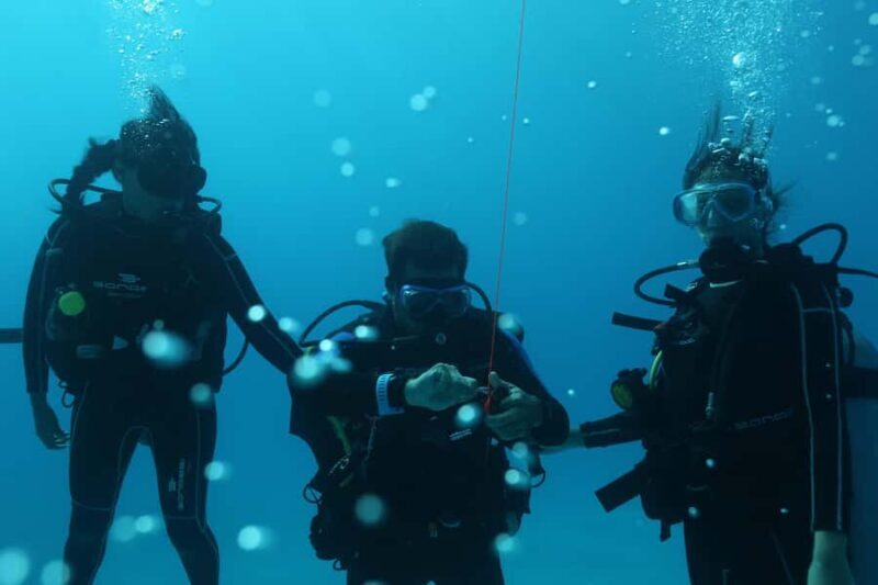 Try Scuba Diving in Playa del CarmenDive Machine Experience - Who Should Consider This Tour?