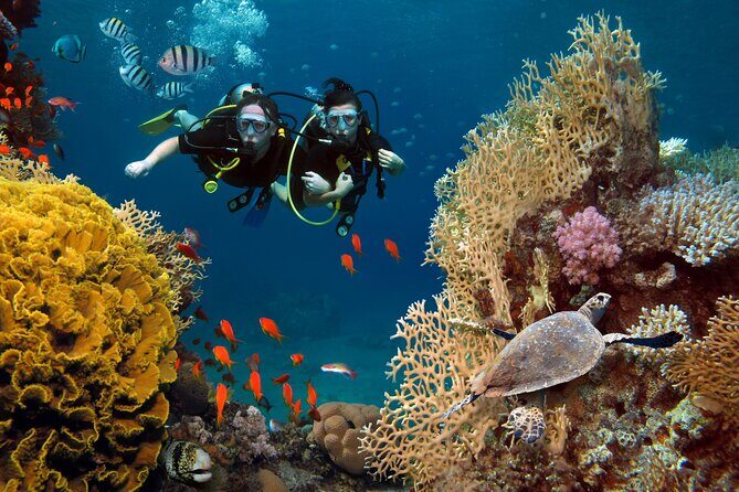 Try Scuba Diving in Racha Yai and Noi for Non-Certified - Discover the Underwater World of Phuket: Try Scuba Diving in Racha Yai and Noi