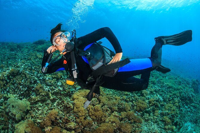 Try Scuba Diving in Racha Yai and Noi for Non-Certified - Who Should Book This Experience?
