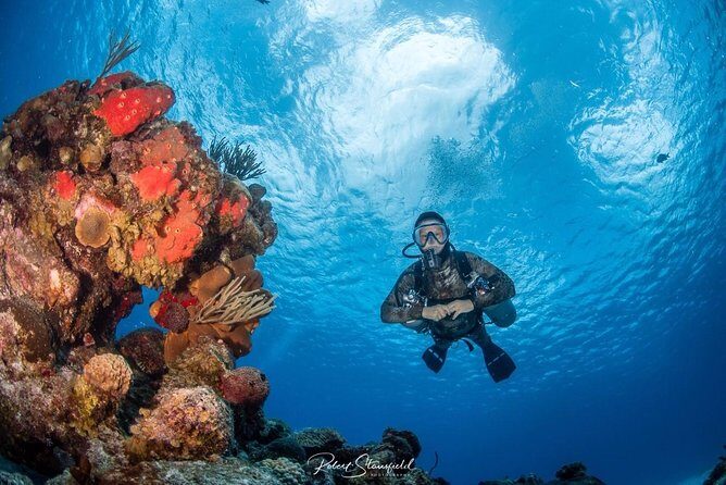 Try Scuba Diving - No previous experience! - A Detailed Look at the Experience