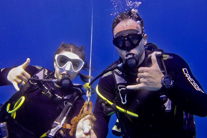 Try Scuba Diving on Kauai with Sea Turtles - Practical Tips for Booking and Participation