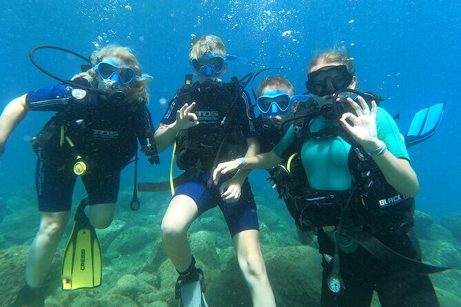 Try Scuba Diving Puerto Colon - Frequently Asked Questions