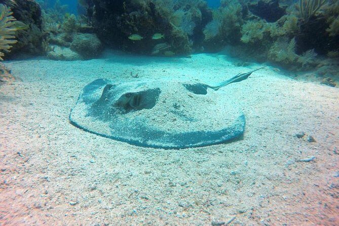 Try Scuba Diving with Professional Scuba Instructor - The Full Lowdown on the Try Scuba Diving Experience