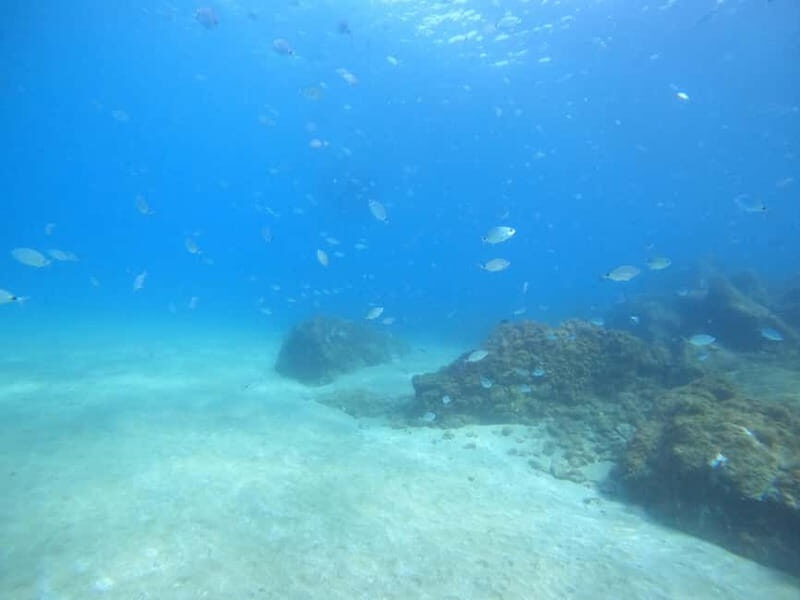 TRY SCUBA - Experience for beginners - The Value of the Experience