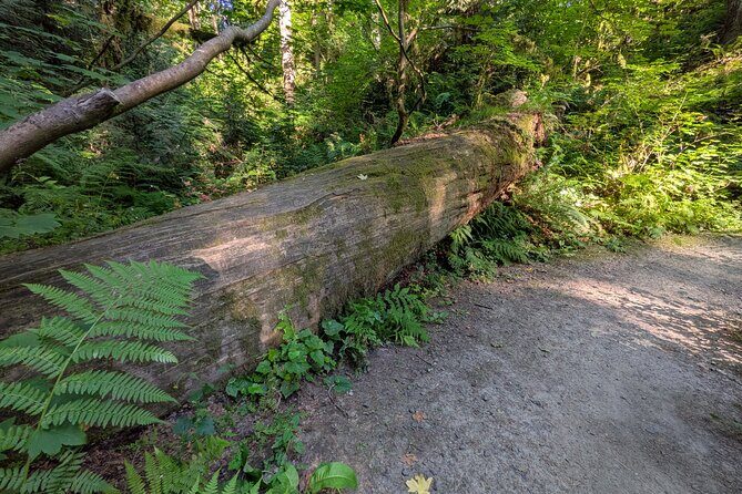 Tryon Creek Eco-tour With a Master Naturalist - Who Will Love This Experience?