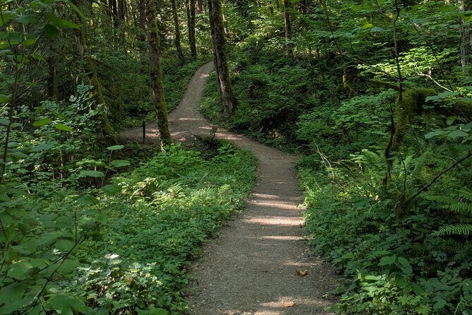 Tryon Creek Eco-tour With a Master Naturalist - Final Thoughts