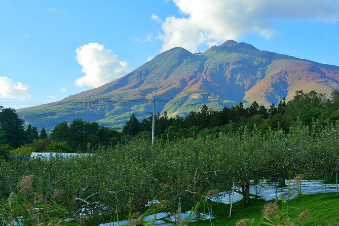 Tsugaru Fuji and Japan Sea Drive Tour by Car from Aomori Port - In-Depth Review of the Tsugaru Fuji and Japan Sea Drive Tour