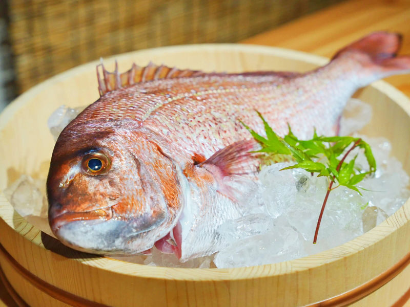 Tsukiji Fish Market Guided Tour & Sushi Making with Pro Chef - Should you book it?