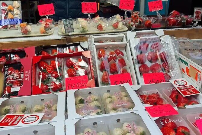 Tsukiji Food Strolling and Hama Rikyu Garden Walking Tour - Exploring Tokyo’s Food and Nature: A Deep Dive