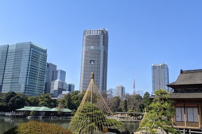 Tsukiji & Hamarikyu Gardens Wellness Tour  Walk, Relax & Lunch - Key Points