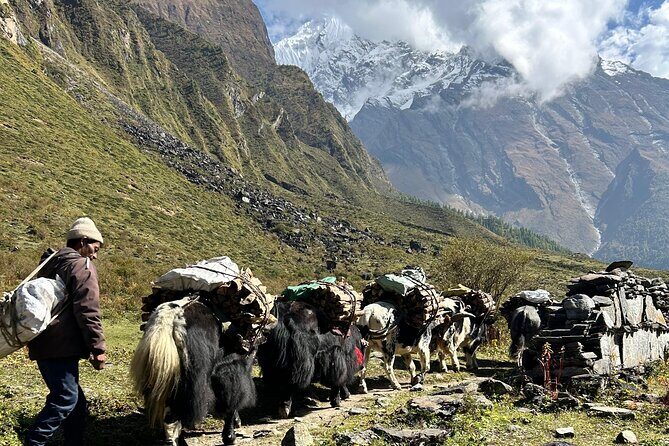 Tsum Valley Trekking - Who Should Consider This Trek?