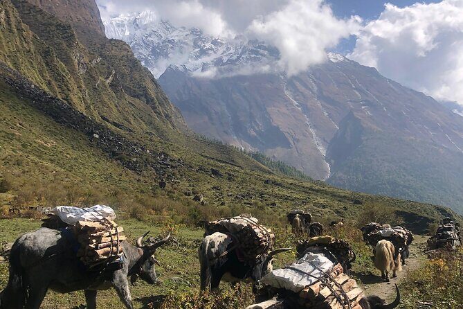 Tsum Valley Trekking - Final Thoughts