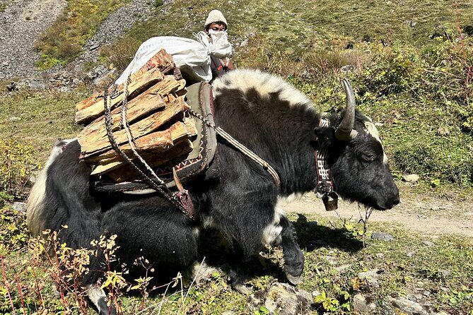 Tsum Valley Trekking - Frequently Asked Questions