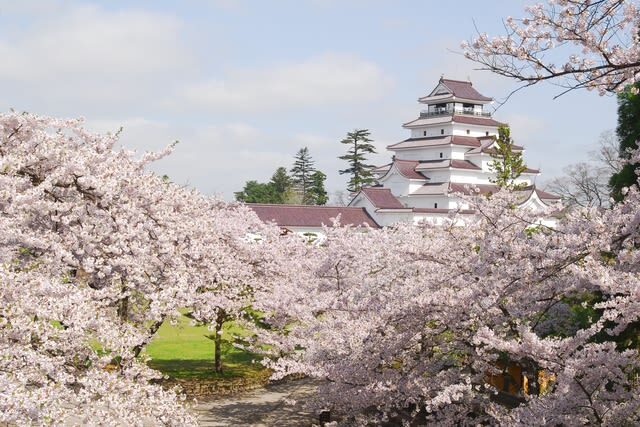Tsurugajo Castle (Aizu-Wakamatsu Castle) Admission Ticket in Aizuwakamatsu - What to know before you go