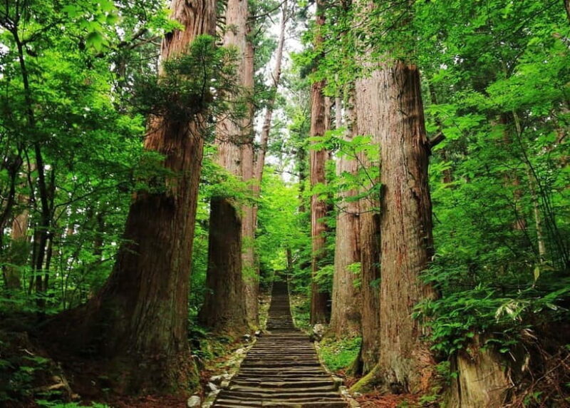 Tsuruoka & Dewa-Sanzan Private Tour with Licensed Guide - Discovering Tsuruoka & Dewa-Sanzan: A Personal Perspective