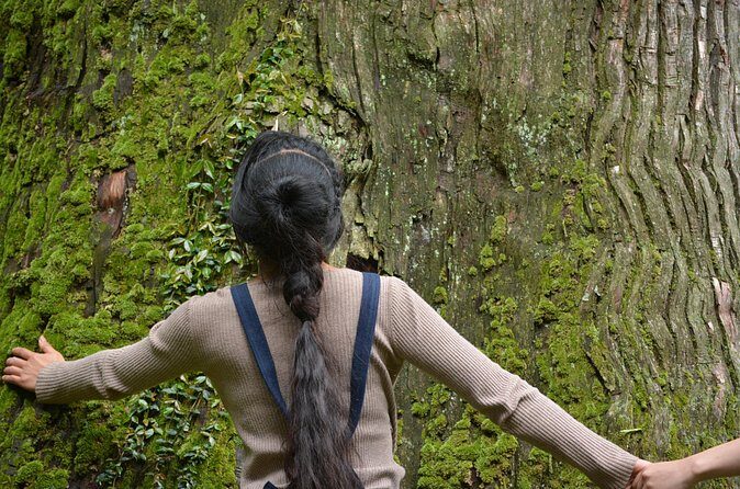 Tsuwano Cycling Tour with Local Guide - What Travelers Say