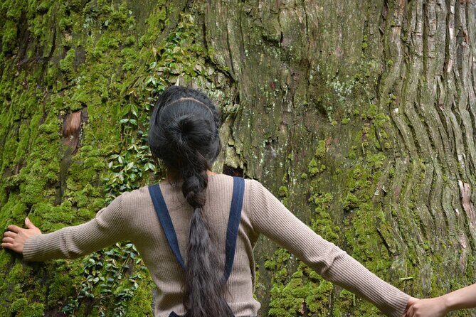 Tsuwano Cycling Tour with Local Guide - Who Will Love This Tour?