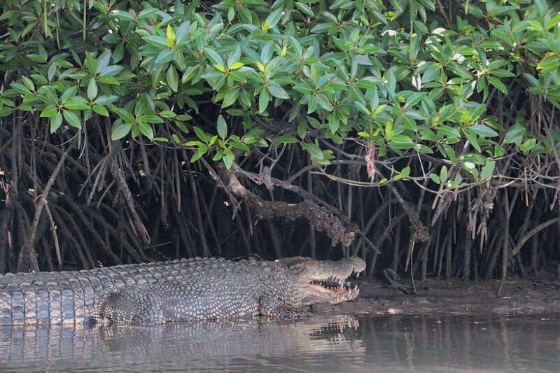 Tuaran, Sabah: Mengkabong Paradise - A Closer Look at the Mengkabong Paradise Tour