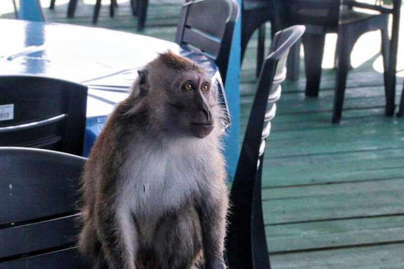 Tuaran, Sabah: Mengkabong Paradise - Final Thoughts