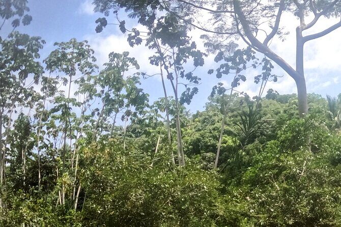 Tubing Across Palomino River Including a Hiking Tour - Frequently Asked Questions