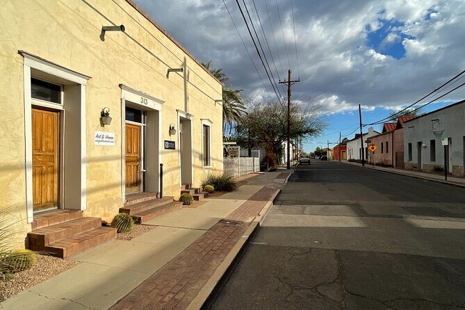 Tucson Barrio Viejo Tucson Walking Tour & Scott Avenue with Guide - The Sum Up