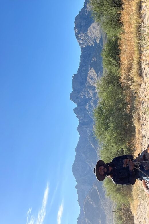 Tucson: Guided Horseback Ride - An In-Depth Look at the Guided Horseback Ride Experience