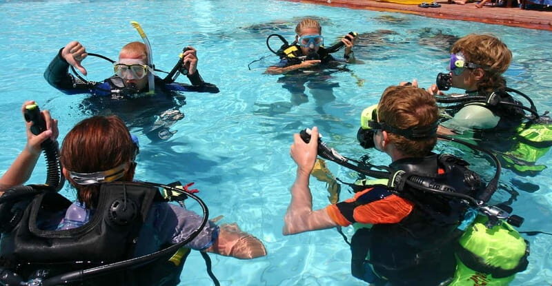 Tuepi: Adriatic Sea Diving Lessons with Guided Dive & Gear - Pricing and Value