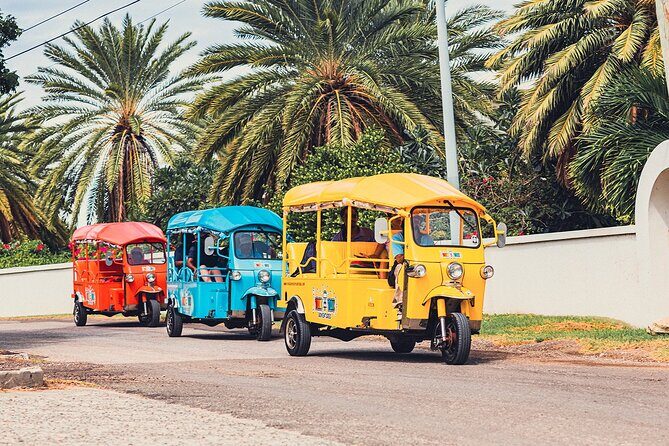 Tuk-Tuk Adventures Rainforest and Beach Hopping Tour - An In-Depth Look at the Tuk-Tuk Adventure