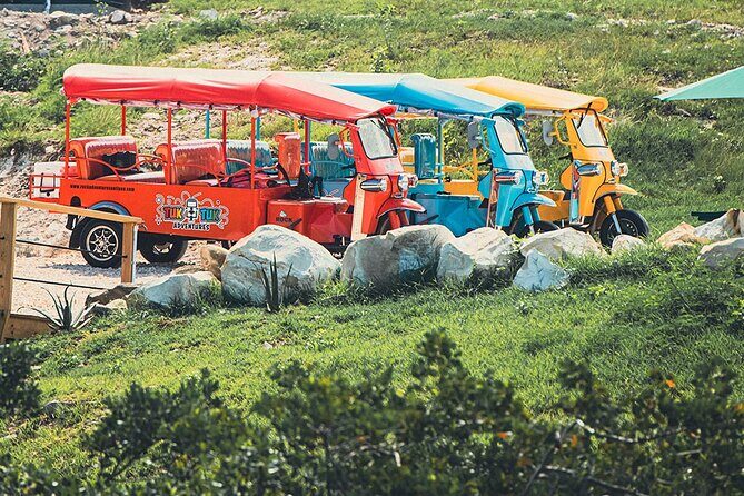 Tuk-Tuk Adventures Rainforest and Beach Hopping Tour - The Sum Up