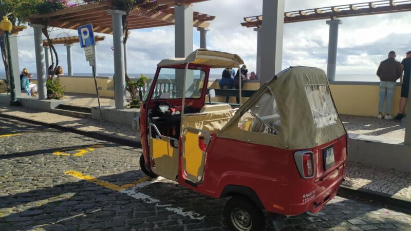 Tuk Tuk Botanical Garden - Madeira Island - Exploring Madeira’s Botanical Treasures on a Private Tuk Tuk Tour