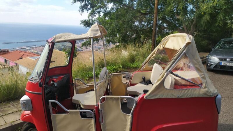 Tuk Tuk Botanical Garden - Madeira Island - Who Will Love This Tour?
