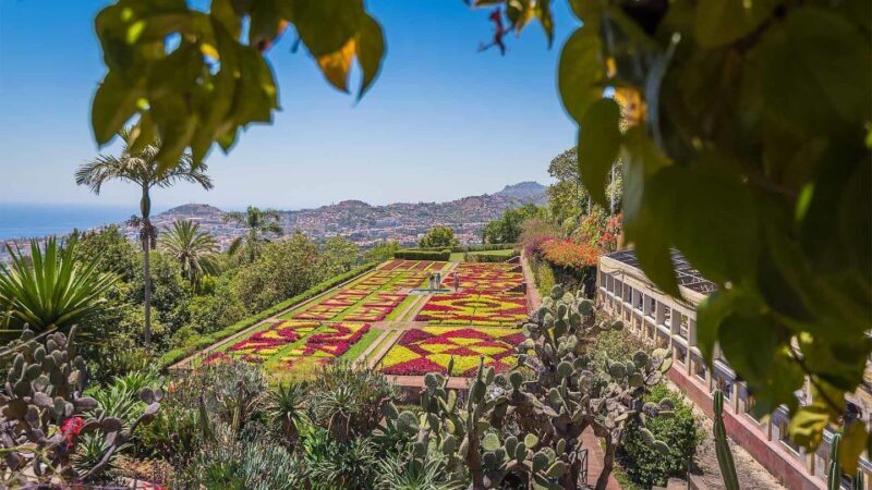 Tuk Tuk Botanical Garden - Madeira Island - Why Choose This Experience?