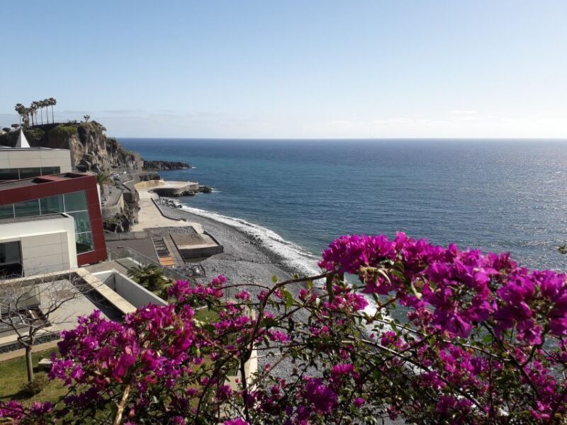 Tuk Tuk Cabo Girão - Madeira Island - Who Should Consider This Tour?