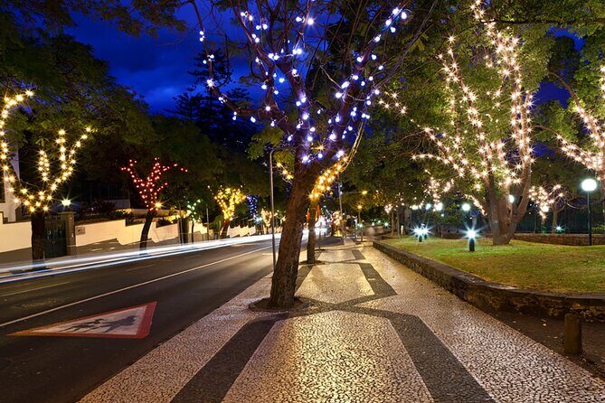 Tuk Tuk Funchal Magic Christmas Lights - An Enchanting Night with the Tuk Tuk Funchal Magic Christmas Lights Tour