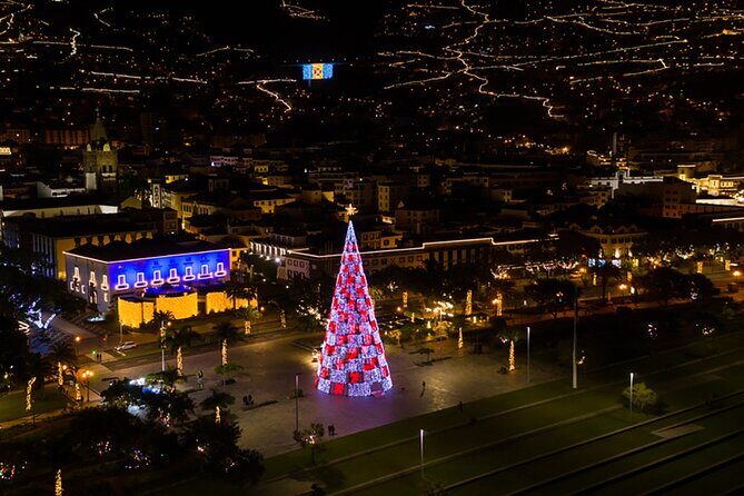 Tuk Tuk Funchal Magic Christmas Lights - Key Points