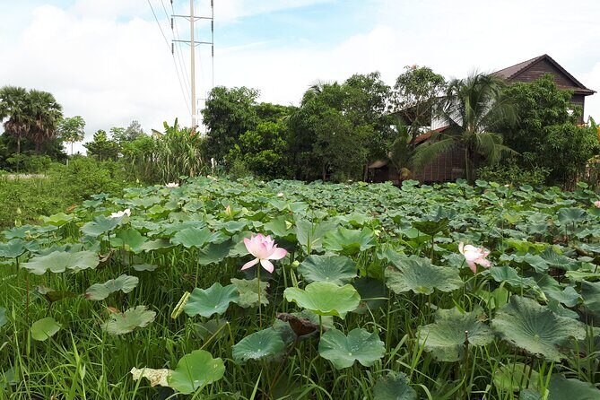 Tuk Tuk Journey: Exploring Rural Life and Silk Farm Craftsmanship - Why We Think This Tour Is Worth It