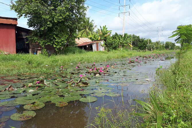 Tuk Tuk Journey: Exploring Rural Life and Silk Farm Craftsmanship - Final Thoughts