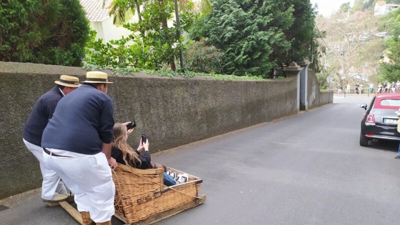 Tuk Tuk Monte Toboggan - Madeira Island - Who Will Love This Tour?