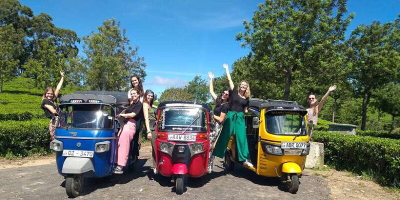 Tuk-Tuk Safari Liptons seat,Tea Fields Hike,TeaFactory Tour - Why This Tour Stands Out