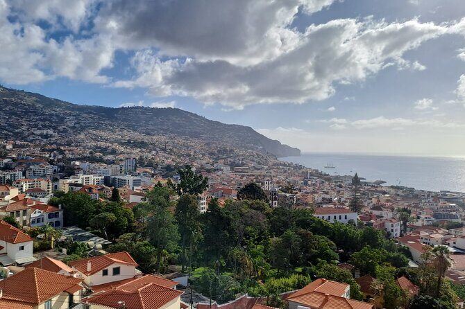 Tuk Tuk tour in Funchal - Who Would Enjoy This Tour?