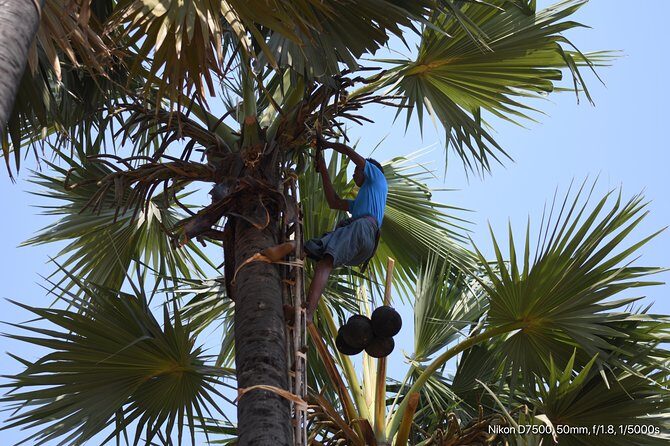 Tuk Tuk tour to Mt. Popa - Final Thoughts: Is It Worth It?