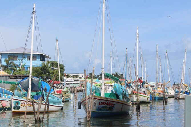 TukTuk Belize History & Culture Tour - Key Points