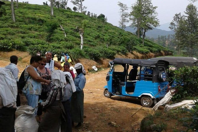 TukTuk Safari in Tea & Spice plantation,View Points,Upper Diyaluma WaterFalls, - The Practicalities and Value of the Tour