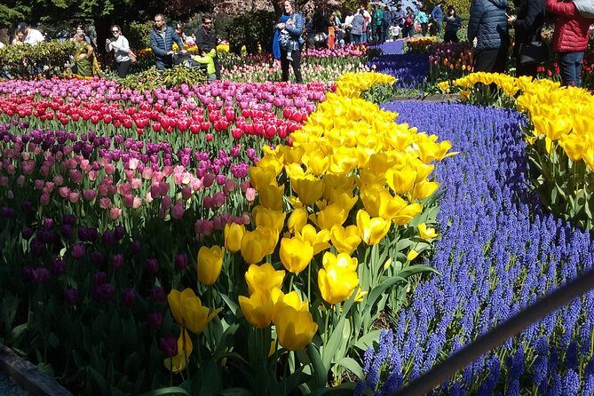 Tulip Festival and Skagit Valley Tour - Discover the Colorful Beauty of the Skagit Valley Tulip Festival Tour