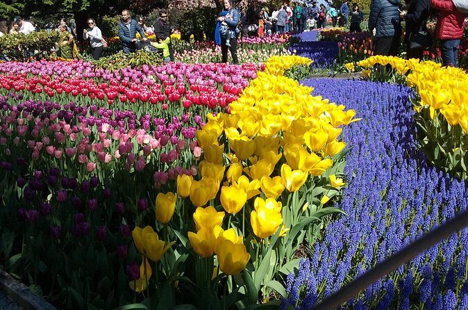 Tulip Festival and Skagit Valley Tour - The Sum Up: Why This Tour Is Worth Considering