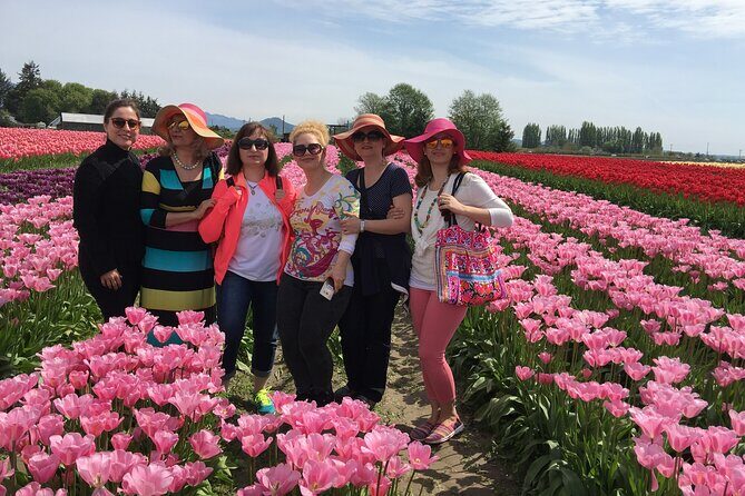 Tulip Festival in Skagit Valley Tour from Seattle - Pricing & Value Analysis