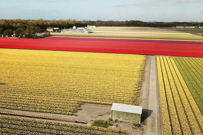 Tulip Fields Tour near Keukenhof - Self-drive with Audio Guide - Who Will Love This Experience?